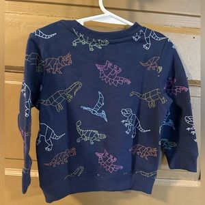 2T  dinosaur sweatshirt